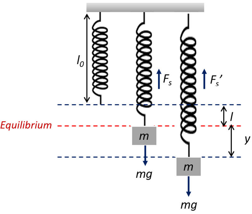 Vertical Spring Model
